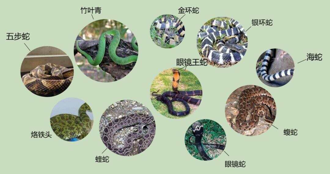 热点生活 第37页
